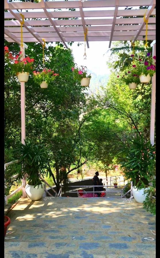 Aaroham Resort Shimla ! Luxury Cottage By Aamod Group Luaran gambar