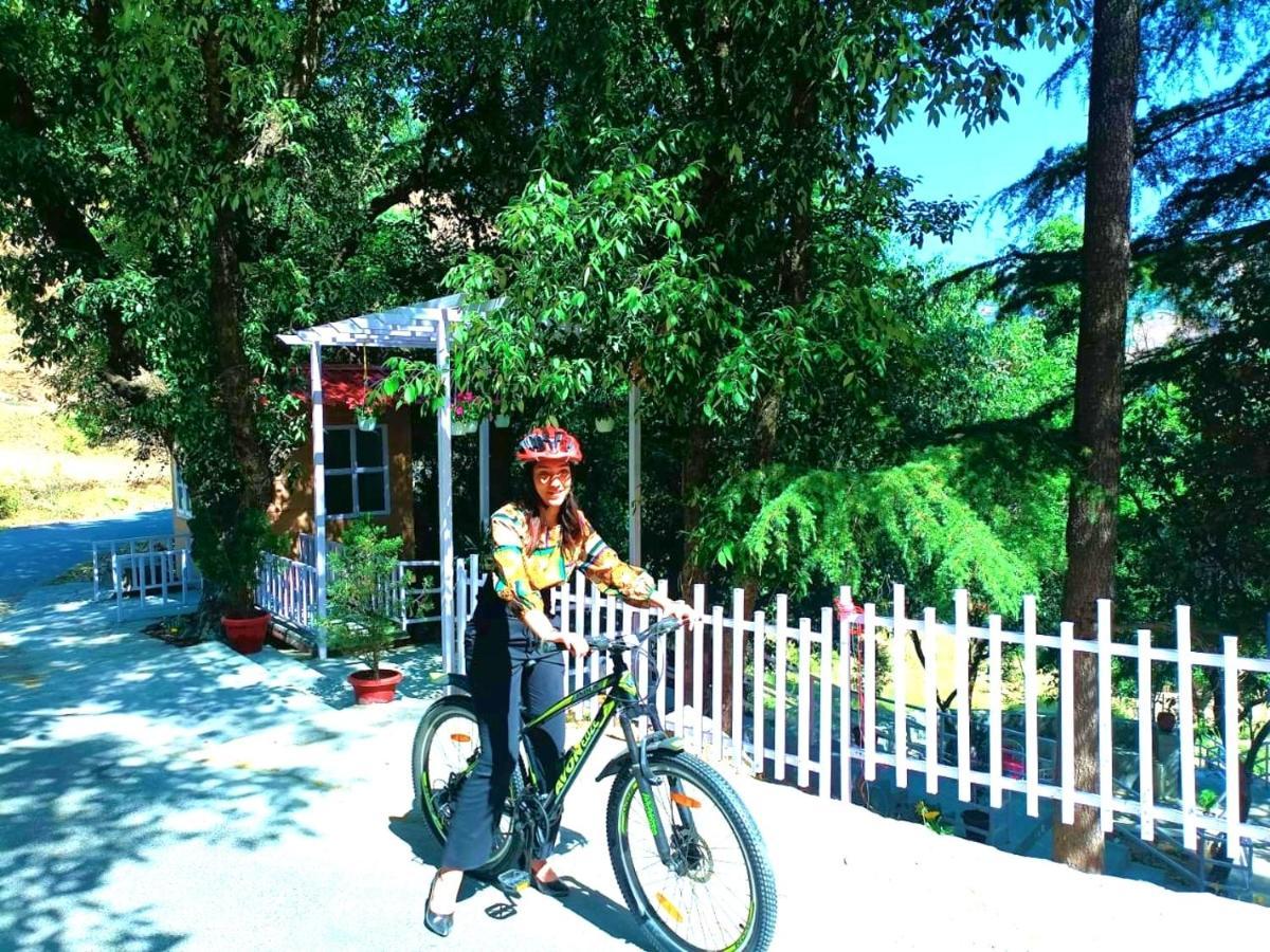 Aaroham Resort Shimla ! Luxury Cottage By Aamod Group Luaran gambar