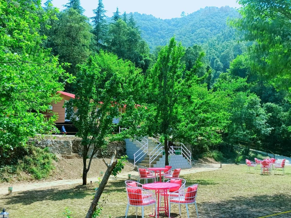 Aaroham Resort Shimla ! Luxury Cottage By Aamod Group Luaran gambar