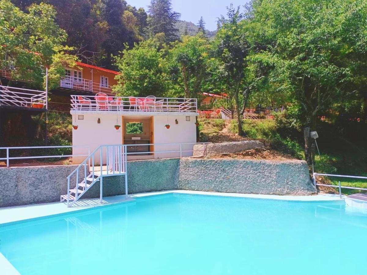 Aaroham Resort Shimla ! Luxury Cottage By Aamod Group Luaran gambar