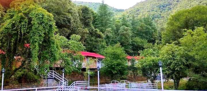Aaroham Resort Shimla ! Luxury Cottage By Aamod Group Luaran gambar