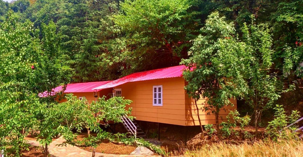 Aaroham Resort Shimla ! Luxury Cottage By Aamod Group Luaran gambar