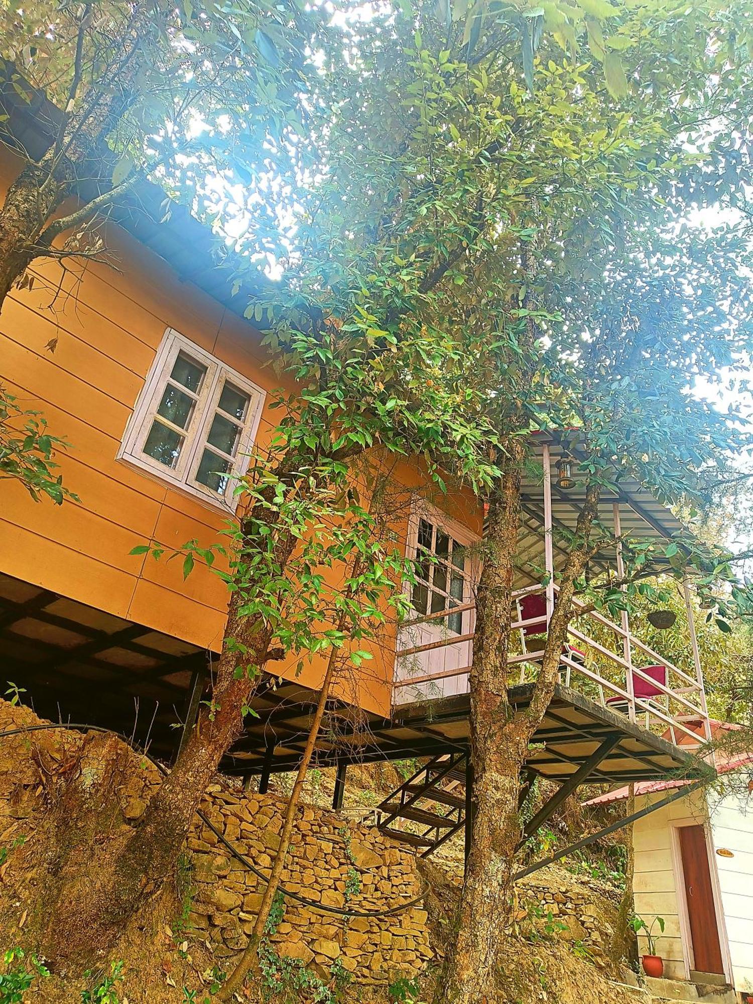 Aaroham Resort Shimla ! Luxury Cottage By Aamod Group Luaran gambar